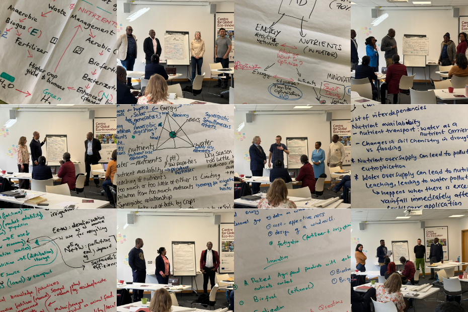 Workshop groups and their pitches